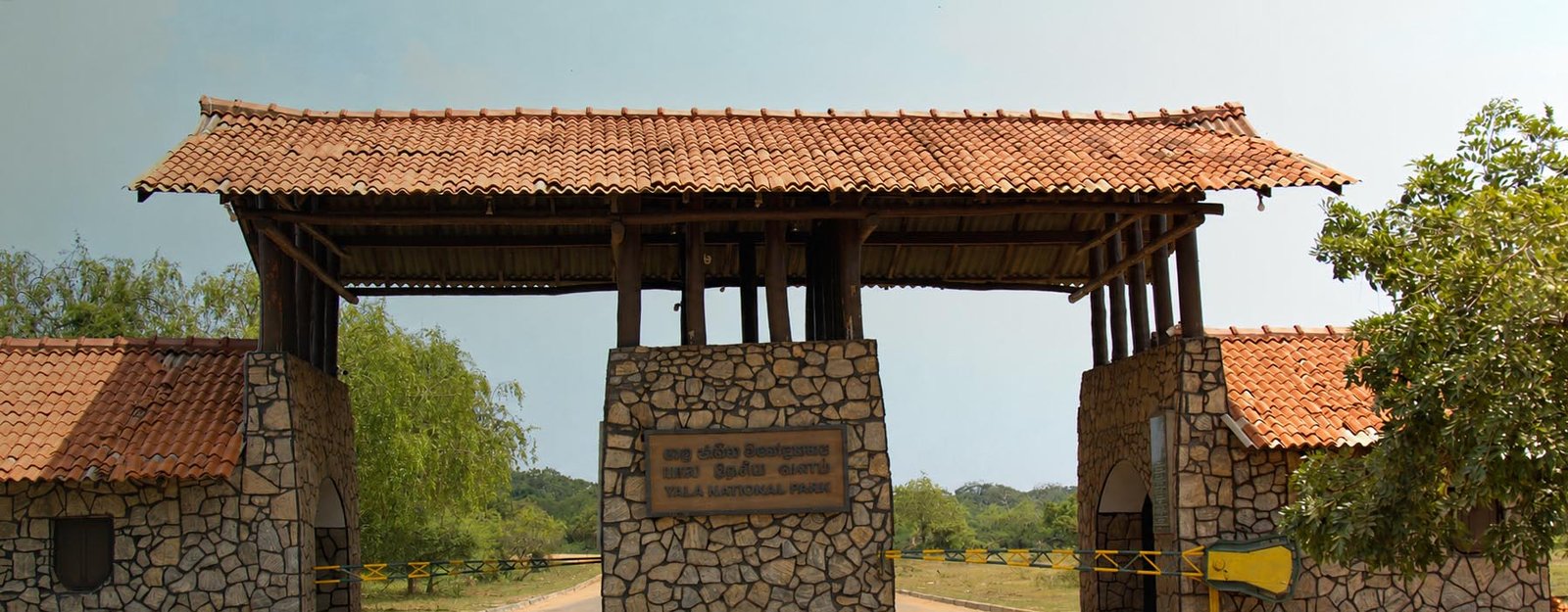 Wildlife safari in Yala National Park